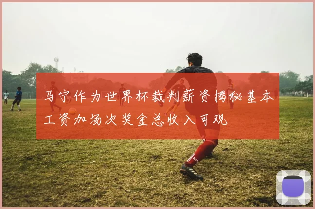 马宁作为世界杯裁判薪资揭秘基本工资加场次奖金总收入可观