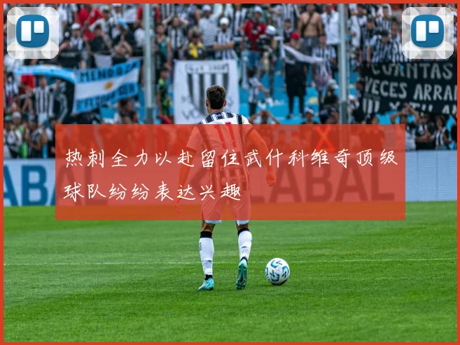 热刺全力以赴留住武什科维奇顶级球队纷纷表达兴趣