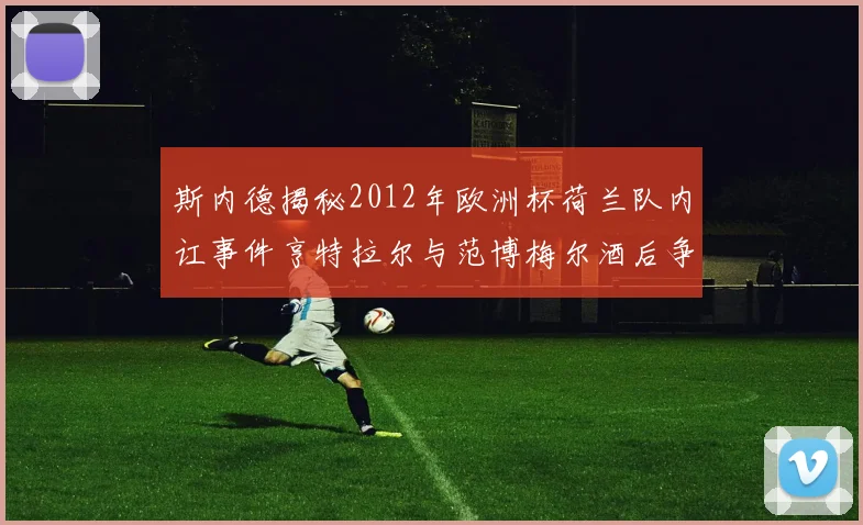 斯内德揭秘2012年欧洲杯荷兰队内讧事件亨特拉尔与范博梅尔酒后争执内幕